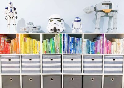 Color coordinated book shelves